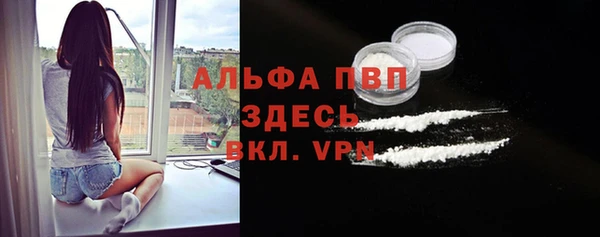 шишки Аркадак