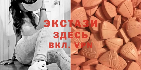 шишки Аркадак