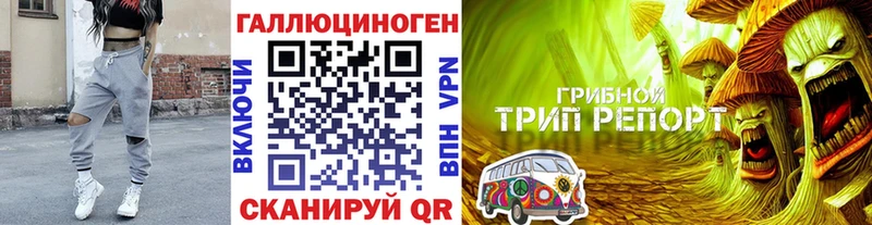 Псилоцибиновые грибы GOLDEN TEACHER  Купить где  Мезень 